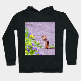 Chipmunk gasps in delight at spring flowers Hoodie